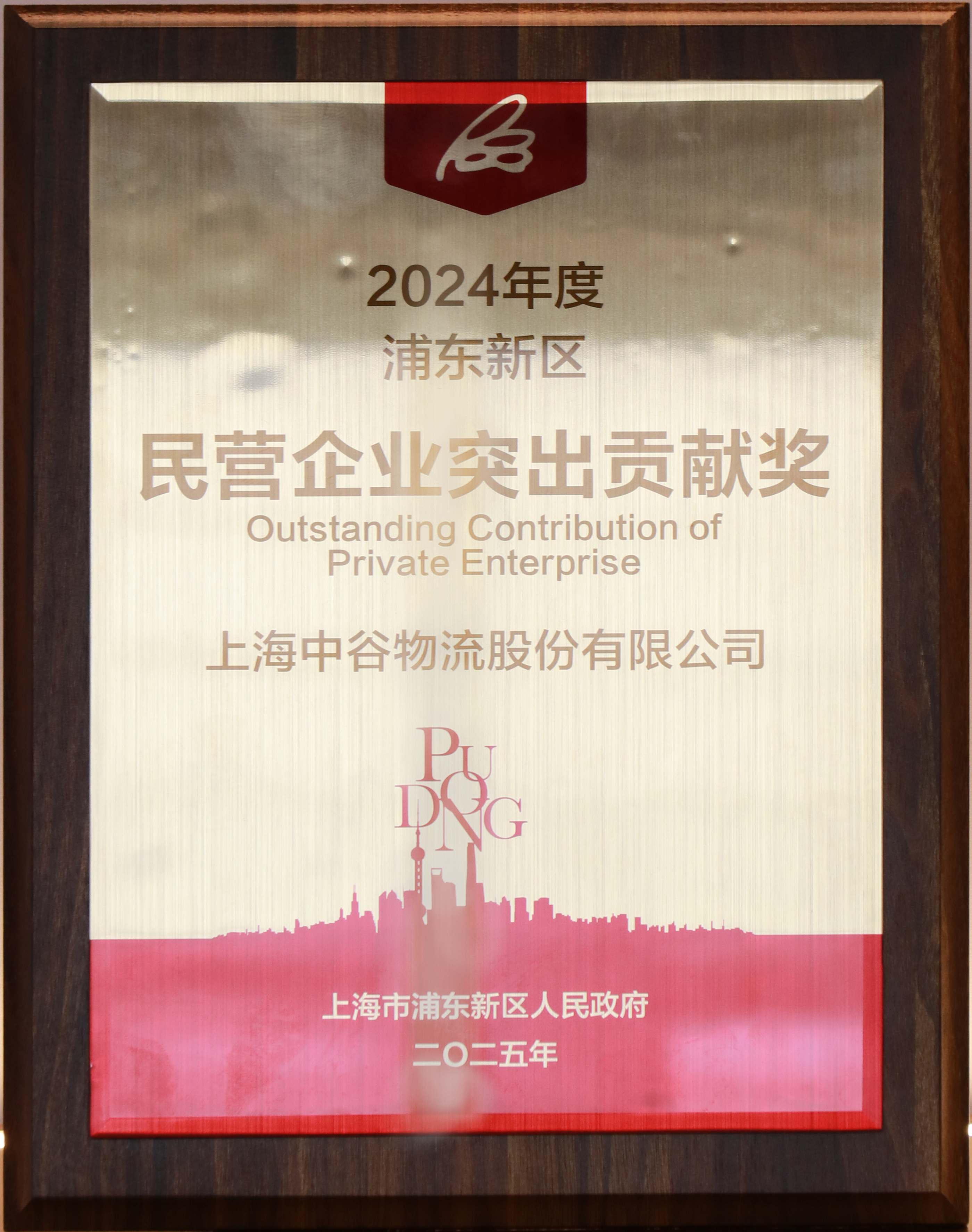 上海浦东新区民营企业突出贡献奖